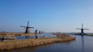 Molens op de Molenkade in Kinderdijk UNESCO