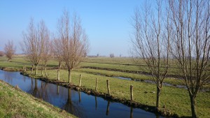 Polderlandschap